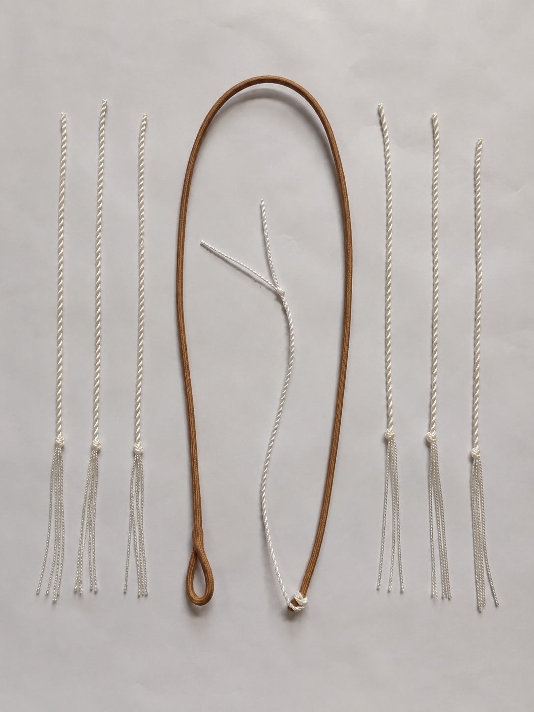 Bullwhip spare fall kit