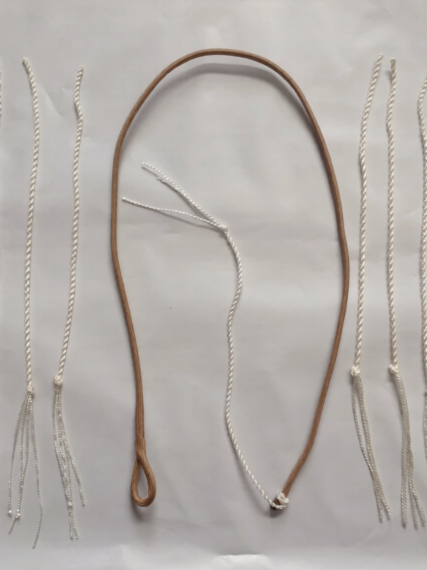 Bullwhip spare fall kit