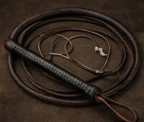 Bullwhip vs Stock Whip Guide
