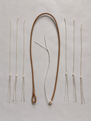 Bullwhip spare fall kit