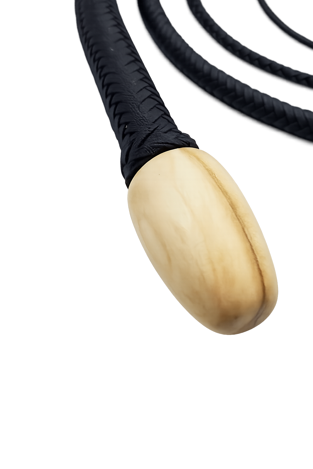 Snake Whip Solid Black Nylon 16 Plait 8 Ft