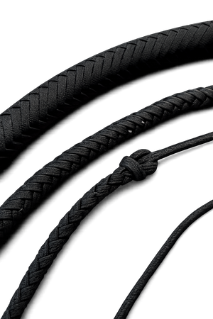 Snake Whip Solid Black Nylon 16 Plait 8 Ft